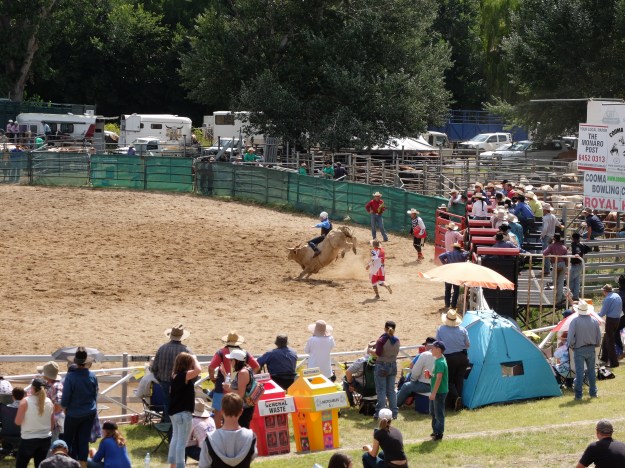 Bull riding