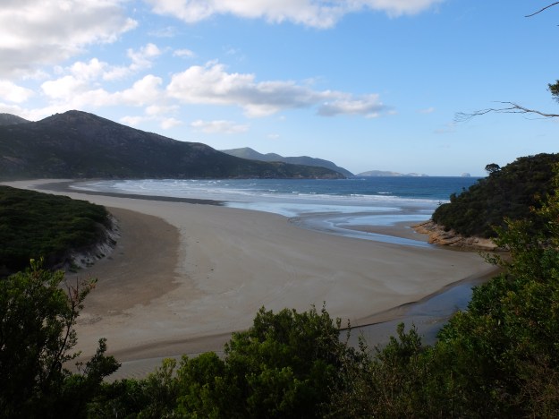 Tidal River joining the beach - taken from an early morning walk