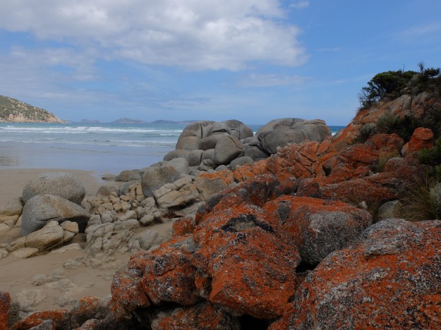 Whisky beach has beautiful boulders and caves at low tide!