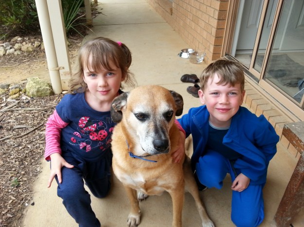 Zazu - our welcoming committee!