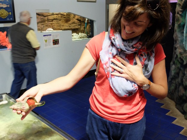 A close escape! Stick your head out to the wrong person and you'll be dropped on the floor with a scream!