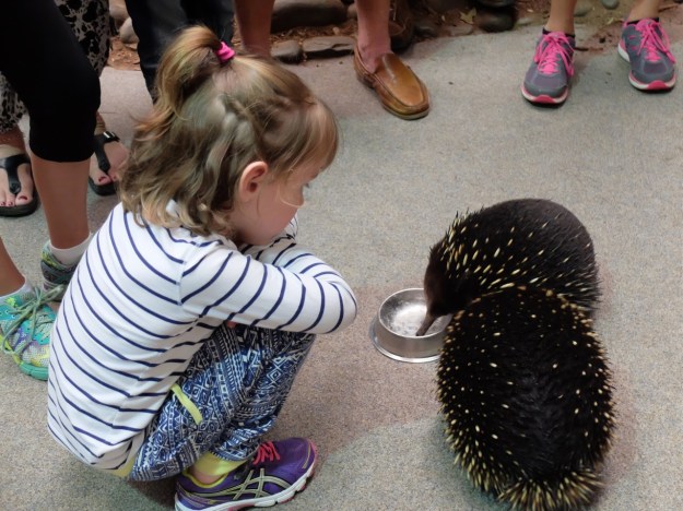 Feeding time with a difference...