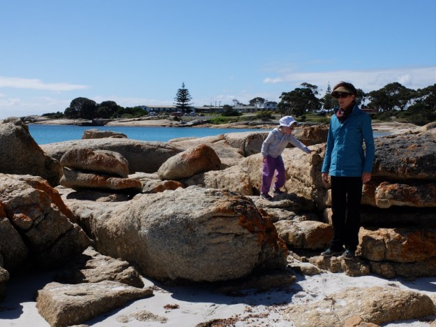 Bicheno waterfront with Blackberry vines just moments from the beach