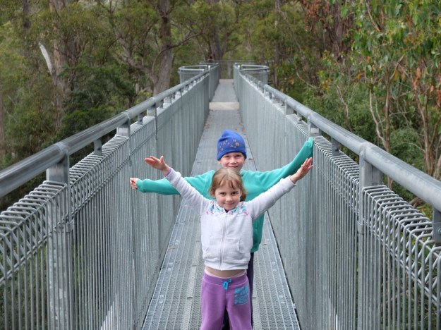 Tahune Airwalk - high up in the trees