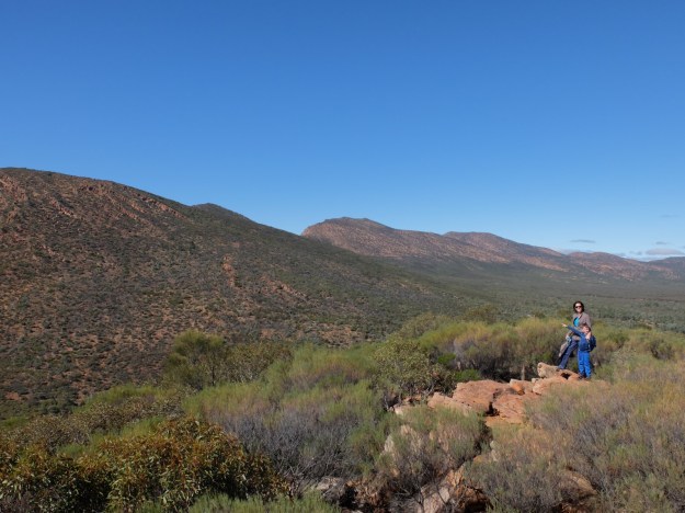 What a vista for dinner!