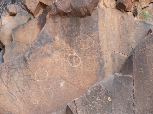 Rock carvings in the Flinders