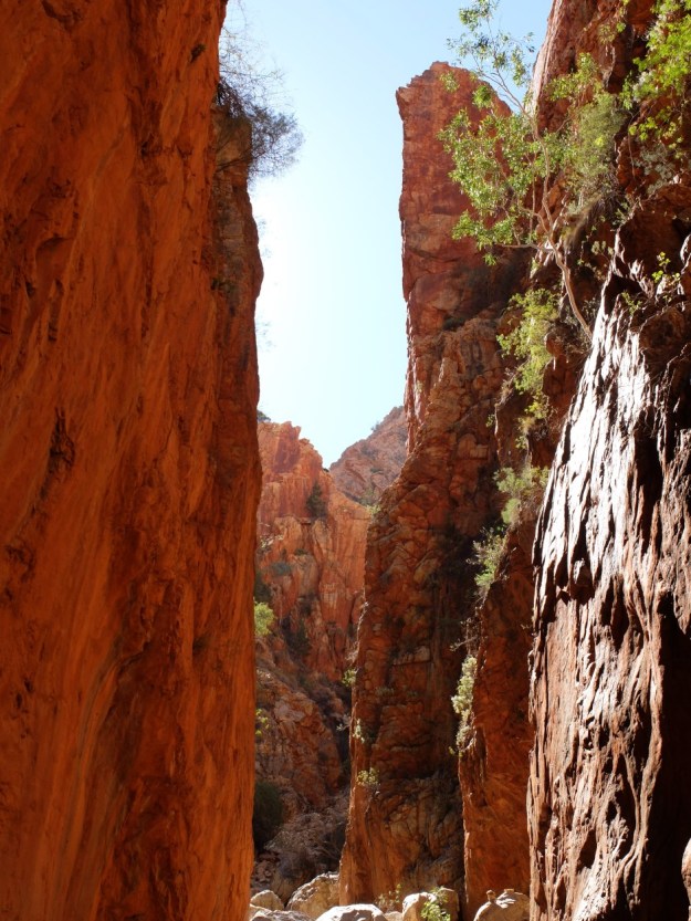 Standley Chasm, we arrived at lunchtime which was perfect!