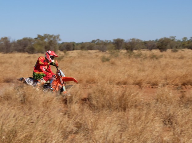 This is the second place getter (the winner Toby went by so fast I couldn't get a proper photo!)