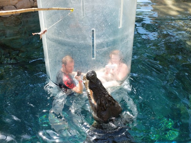 The "Cage of DEATH!" (or something like that!)