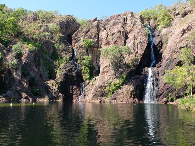 And to finish the day a nice relaxing swim at Wangi Falls